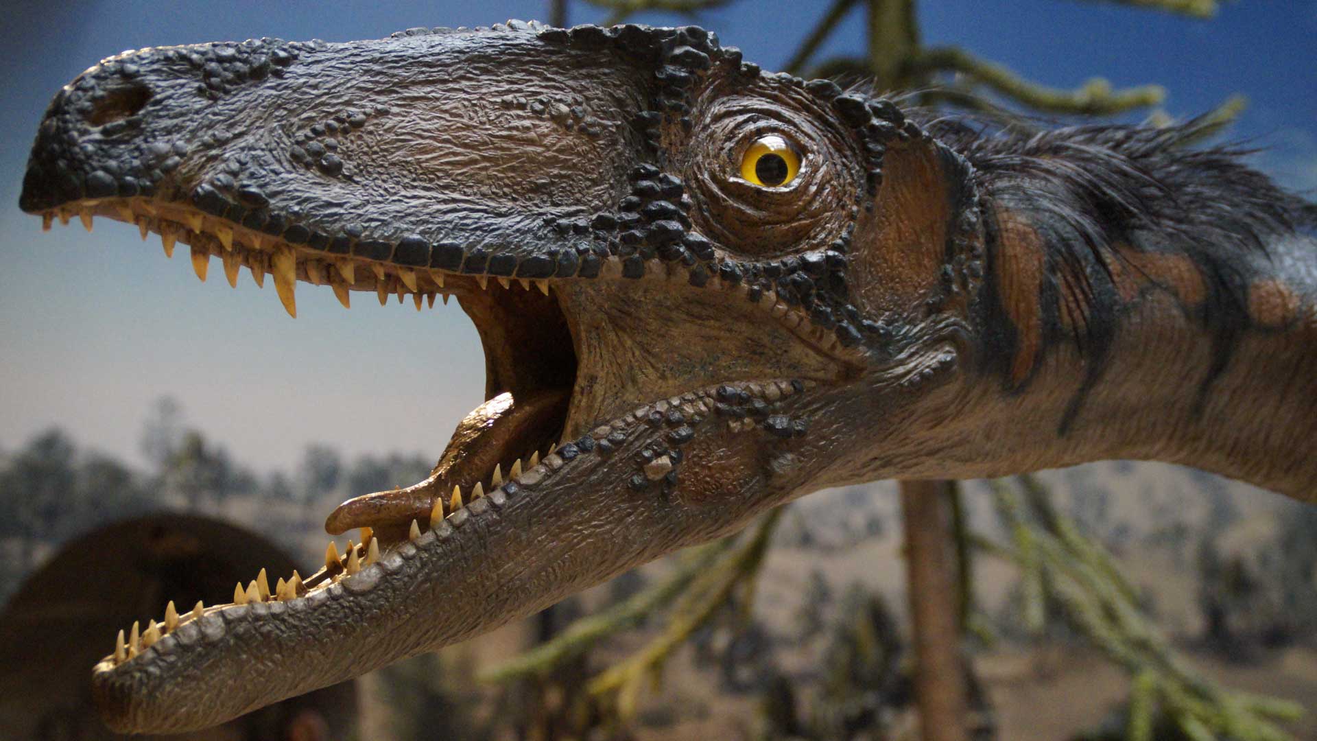 Jurassic Island Experience