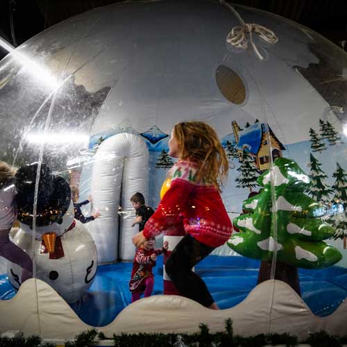 Snow Globe