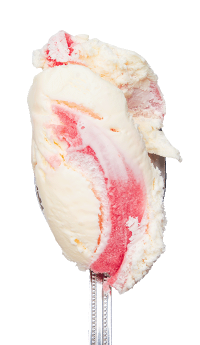 Elderflower & Rhubarb