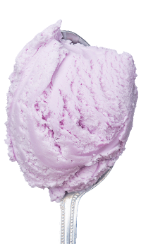 Lavender & Honey
