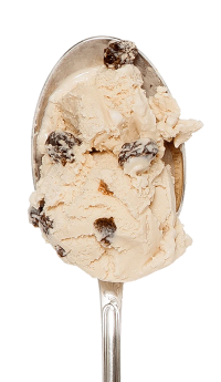 Rum & Raisin